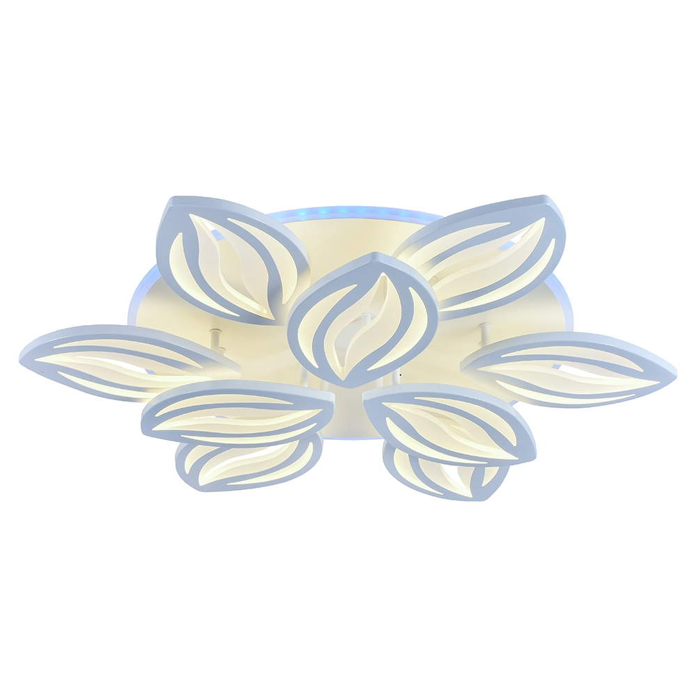 _8021-6-3-wht_